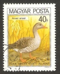 Stamps Hungary -  2736 - fauna, oca