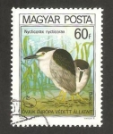 Stamps Hungary -  protección de la naturaleza, nycticorax nycticorax