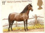 Stamps United Kingdom -  ANIMALES