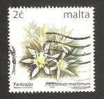 Stamps Malta -  flores, pancratium maritimum