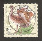 Stamps Germany -  aves en peligro de extinción