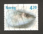 Stamps Norway -  pez, arenque