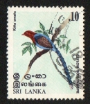 Stamps Sri Lanka -  Ave