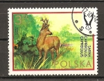 Stamps Poland -  