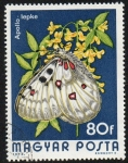 Stamps Hungary -  Mariposa