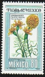 Stamps Mexico -  Flora de México - Flor de muerto