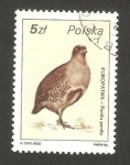 Stamps Poland -  ave, perdiz