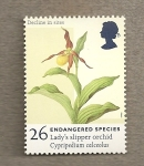 Stamps United Kingdom -  Especies en peligro de extinción