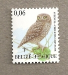 Stamps Belgium -  Lechuza