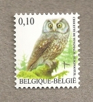 Stamps Belgium -  Mochuelo boreal