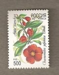 Stamps Russia -  Chaenometes japonica