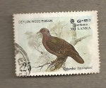Stamps Sri Lanka -  Perdiz de la madera de Ceilán