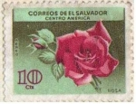 Stamps El Salvador -  Rosa 