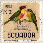 Stamps : America : Ecuador :  Ruiseñor