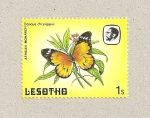 Stamps Lesotho -  Mariposa Danaus chrisypus