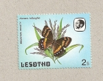 Stamps Lesotho -  Mariposa Meneris tulbaghia