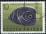 Stamps Poland -  