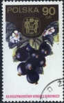 Stamps Poland -  