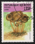 Stamps Benin -  SETAS-HONGOS: 1.114.031,01-Tephrocybe carbonaria -Sc.1055