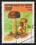 Stamps Benin -  SETAS-HONGOS: 1.114.035,01-Tylopilus felleus -Sc.1059