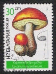 Stamps Bulgaria -  SETAS-HONGOS: 1.120.023,01-Leccinum aurantiacum -Dm.978.6-Y&T.3073-Mch.3548-Sc.3234