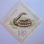 Stamps Romania -  reptiles