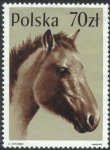 Stamps Poland -  Caballos