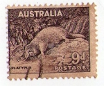 Stamps : Oceania : Australia :  