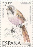 Stamps Spain -  Bigotudo