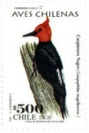Stamps Chile -  Aves Chilenas 