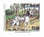 Stamps Chile -  Perros