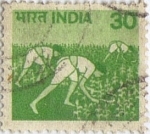 Stamps : Asia : India :  