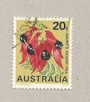 Stamps Australia -  Guisantes del dedierto