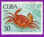 Stamps Cuba -  Fauna de la cienaga de Zapata