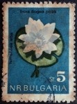 Stamps Bulgaria -  Nimphaea alba