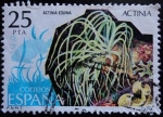 Stamps : Europe : Spain :  Actinia / Actinia equina