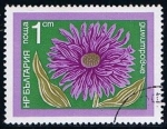 Stamps Bulgaria -  Scott  2184  Flores (Aster)