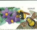 Stamps : Oceania : United_States :  Fauna (Abejas)