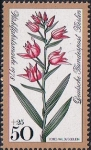 Stamps Germany -  BERLIN. FLORES DE LOS BOSQUES. CEPHALANTHERA RUBRA