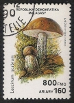 Stamps : Africa : Madagascar :  SETAS-HONGOS: 1.182.006,01-Leccinum scabrum -Phil.47156-Dm.990.100-Y&T.1012-Mch.1293-Sc.1001H