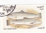 Stamps Oman -  peces