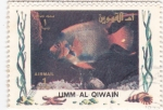 Stamps United Arab Emirates -  peces tropicales