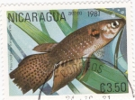 Stamps Nicaragua -  peces
