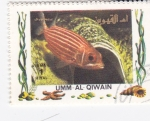 Stamps United Arab Emirates -  peces tropicales