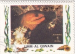 Stamps United Arab Emirates -  peces tropicales