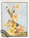 Stamps United Arab Emirates -  flores