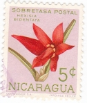 Stamps Nicaragua -  flores
