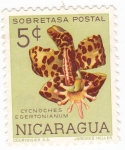 Stamps Nicaragua -  flores