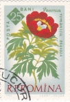Stamps Romania -  flores