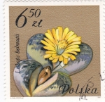 Stamps Poland -  flores